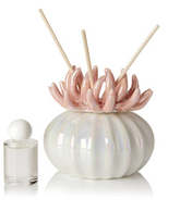 Debora Carlucci Coral Reed Diffuser W/ Frosted Porcelain Bottom